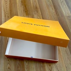 Authentic Louis Vuitton bag Case